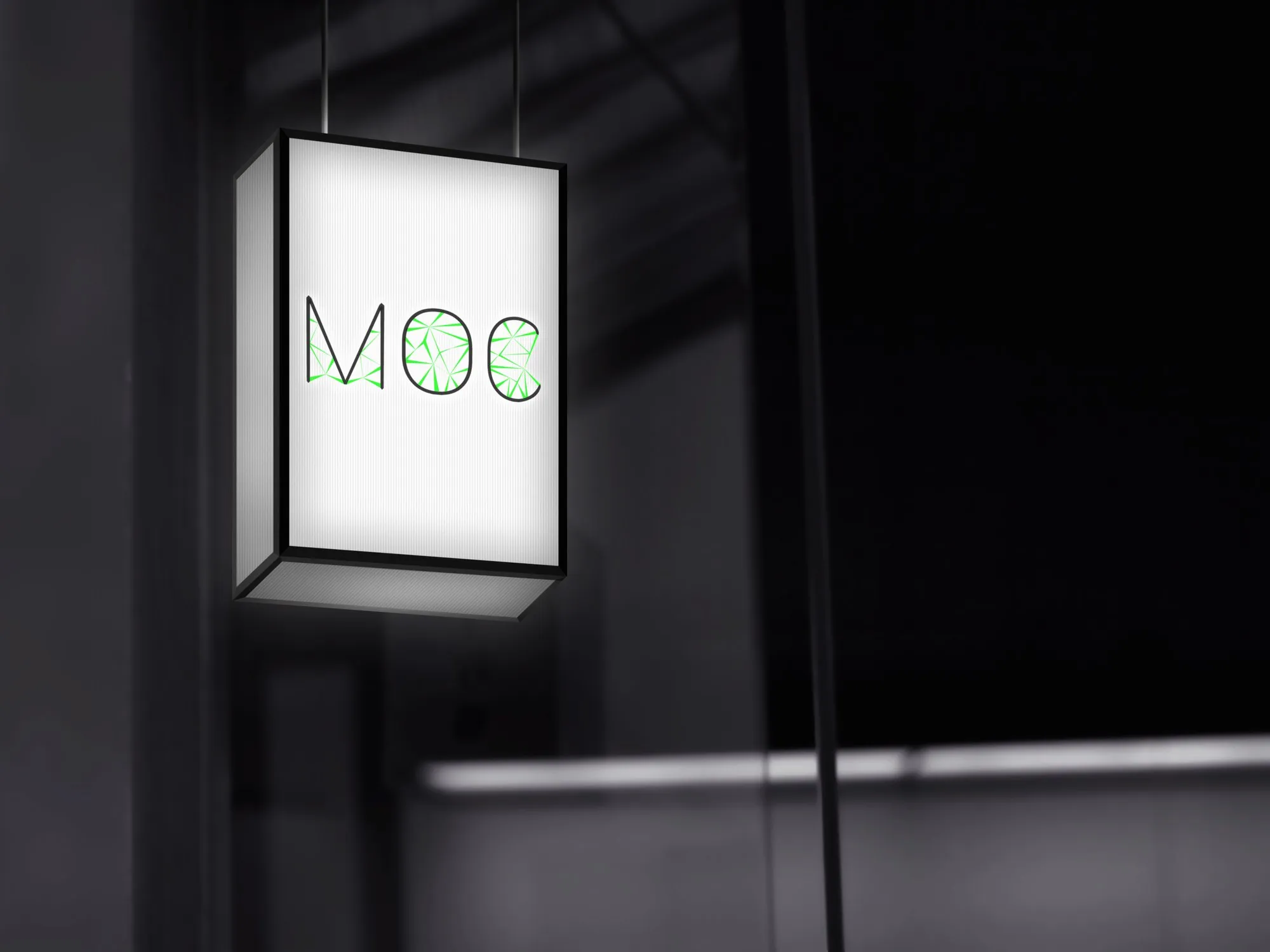 Museum of Color brand elements